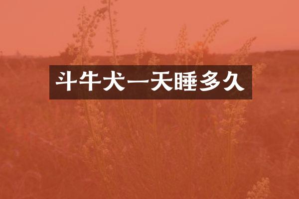 斗牛犬一天睡多久