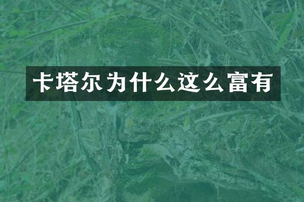 卡塔尔为什么这么富有