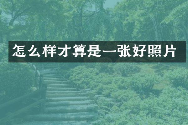 怎么样才算是一张好照片