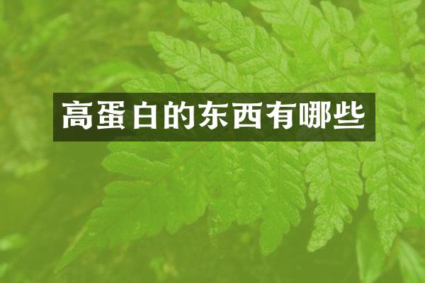 高蛋白的东西有哪些