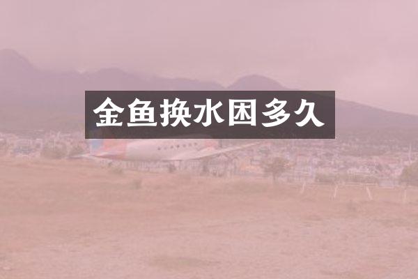 金鱼换水困多久