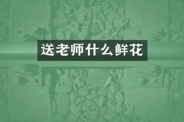 送老师什么鲜花