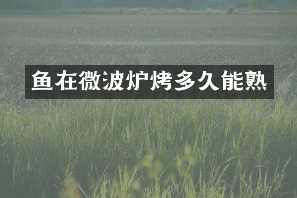 鱼在微波炉烤多久能熟