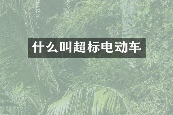 什么叫超标电动车