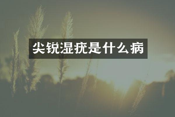 尖锐湿疣是什么病