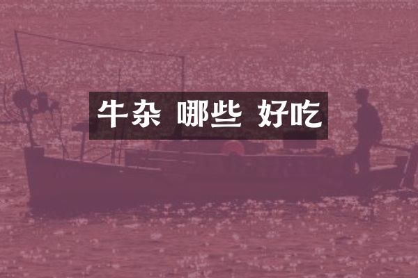 牛杂 哪些 好吃