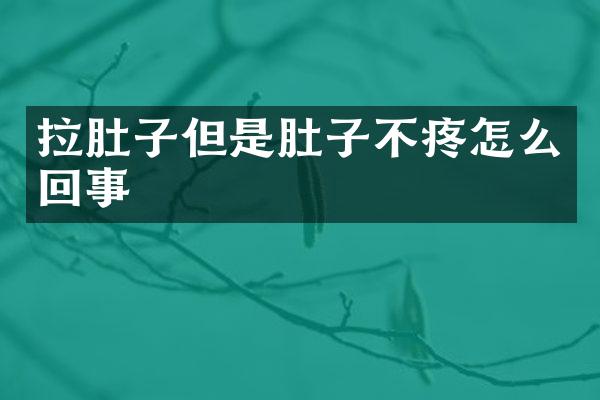拉肚子但是肚子不疼怎么回事