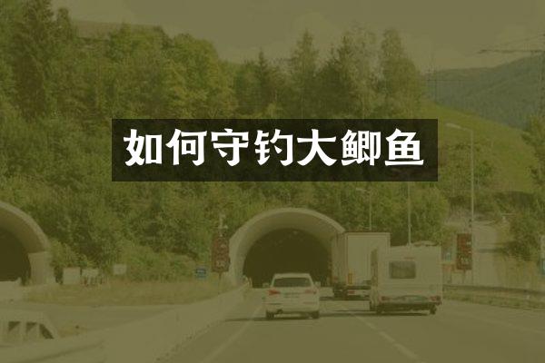 如何守钓大鲫鱼