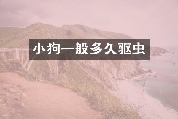 小狗一般多久驱虫