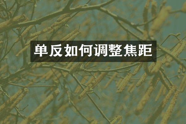 单反如何调整焦距