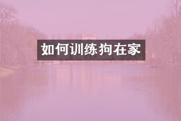如何训练狗在家