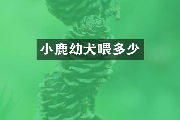 小鹿幼犬喂多少