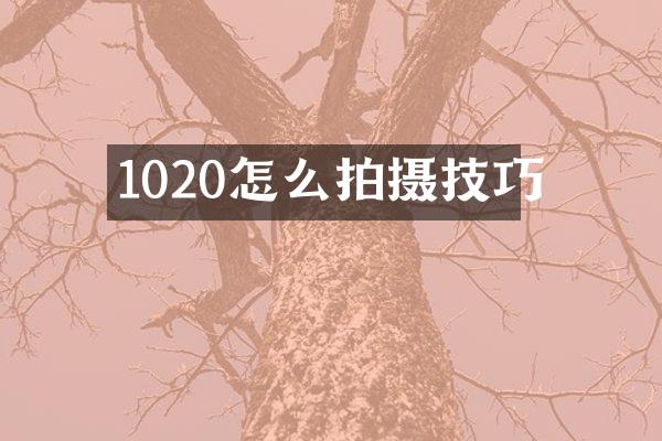 1020怎么拍摄技巧