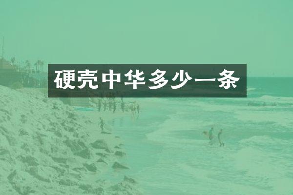 硬壳中华多少一条