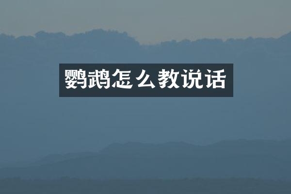 鹦鹉怎么教说话