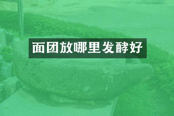 面团放哪里发酵好