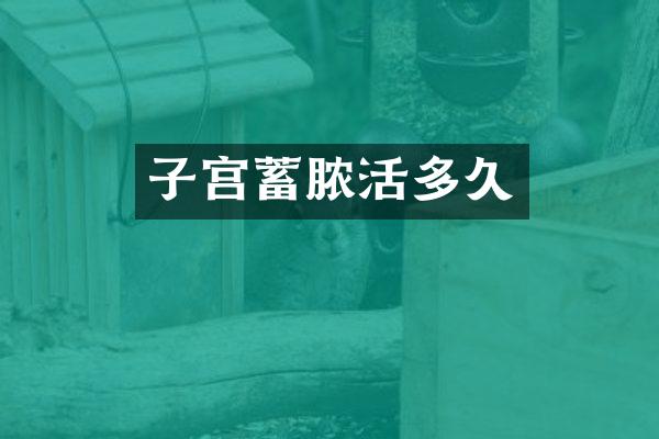 子宫蓄脓活多久