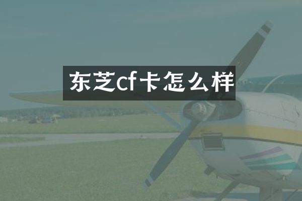 东芝cf卡怎么样