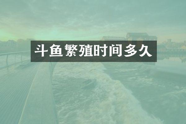 斗鱼繁殖时间多久