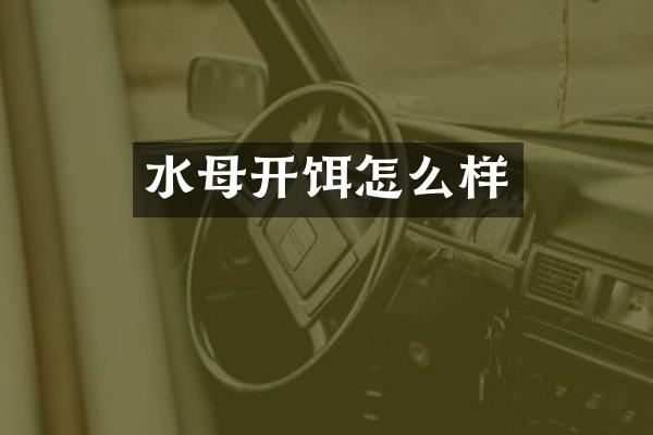 水母开饵怎么样