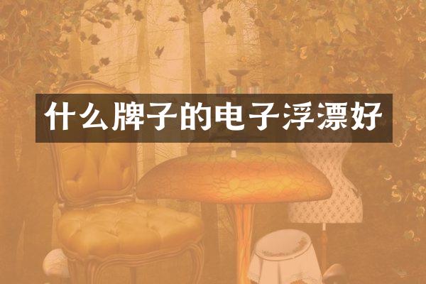 什么牌子的电子浮漂好