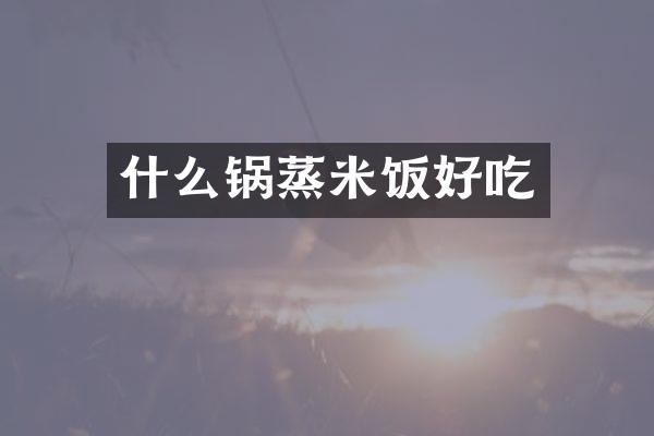 什么锅蒸米饭好吃