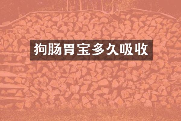 狗肠胃宝多久吸收