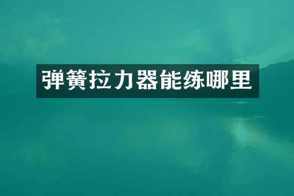 弹簧拉力器能练哪里