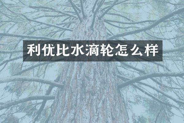利优比水滴轮怎么样