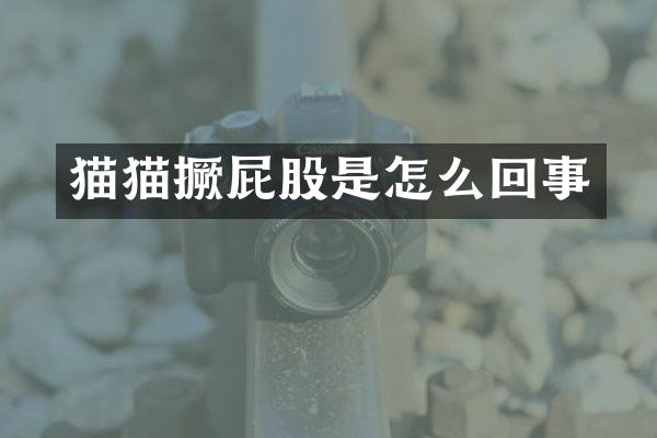 猫猫撅屁股是怎么回事