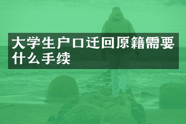 大学生户口迁回原籍需要什么手续