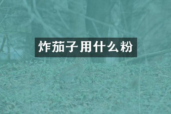 炸茄子用什么粉