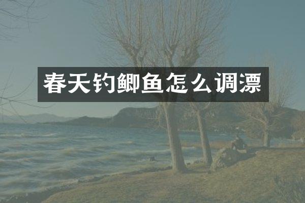春天钓鲫鱼怎么调漂