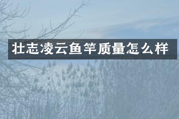 壮志凌云鱼竿质量怎么样