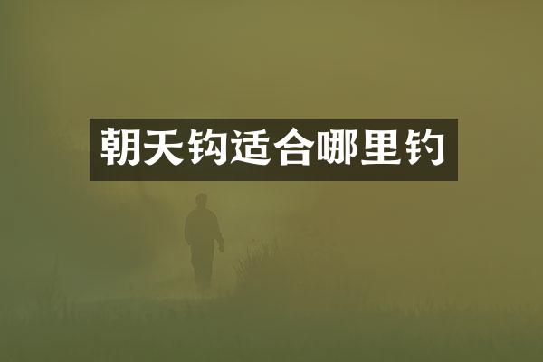 朝天钩适合哪里钓