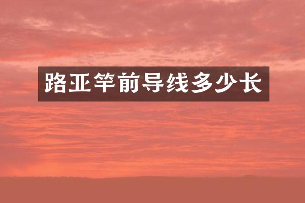 路亚竿前导线多少长