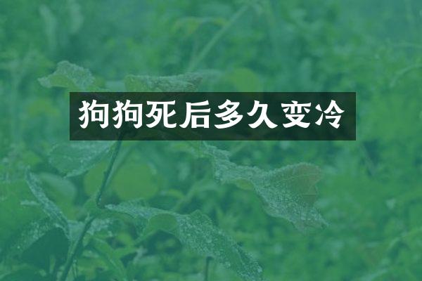 狗狗死后多久变冷