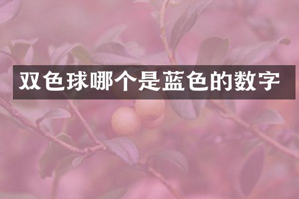双色球哪个是蓝色的数字