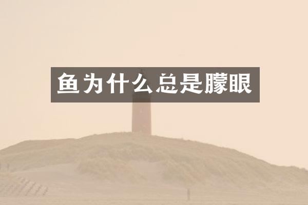鱼为什么总是朦眼
