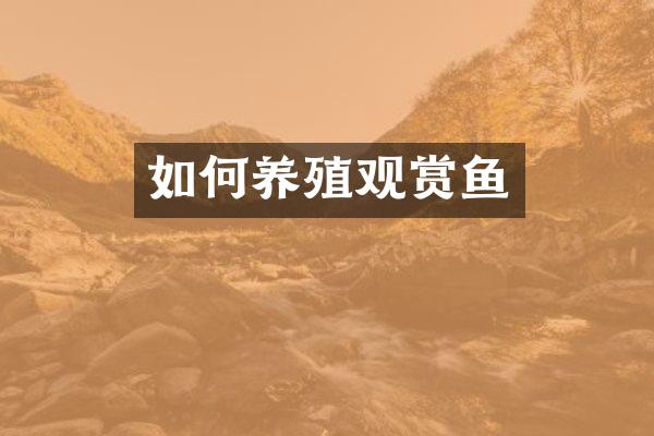 如何养殖观赏鱼