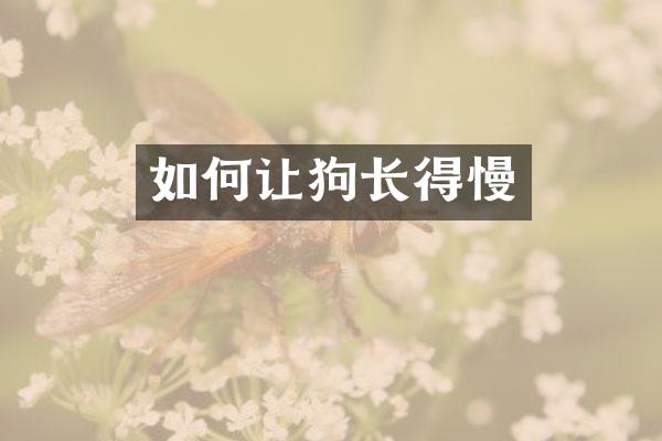 如何让狗长得慢