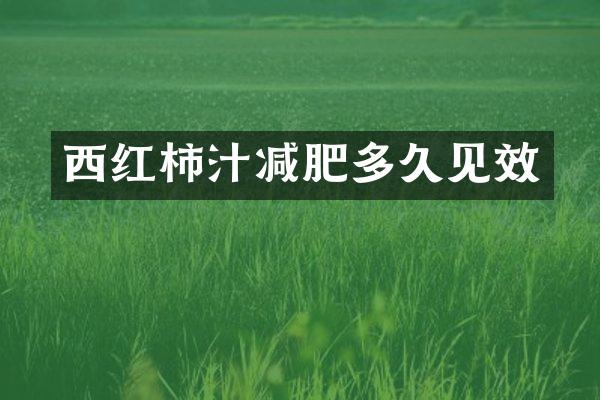 西红柿汁减肥多久见效