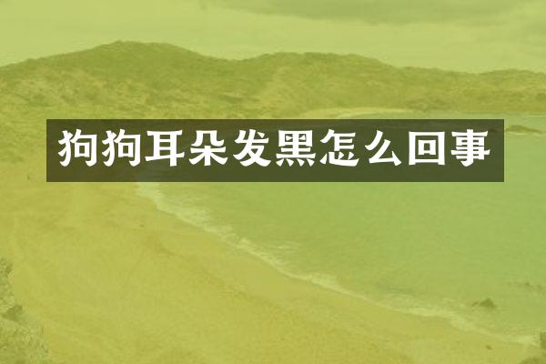 狗狗耳朵发黑怎么回事