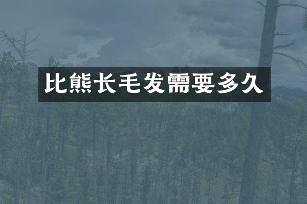 比熊长毛发需要多久