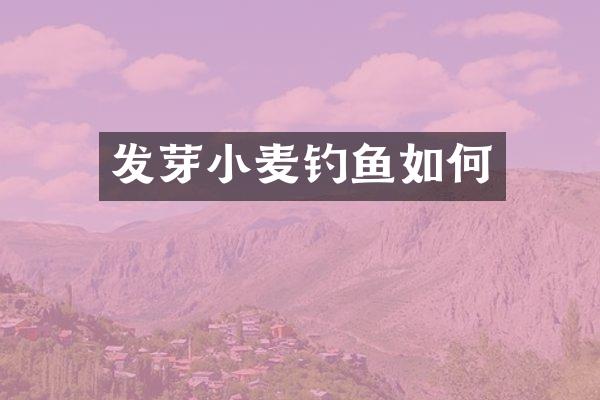 发芽小麦钓鱼如何