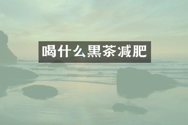 喝什么黑茶减肥
