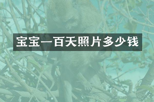 宝宝一百天照片多少钱