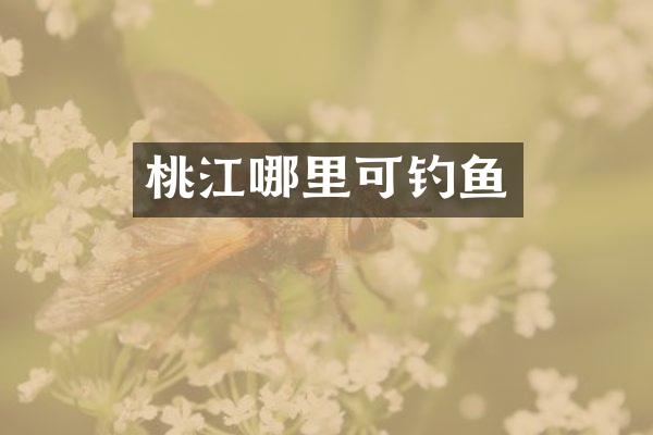 桃江哪里可钓鱼