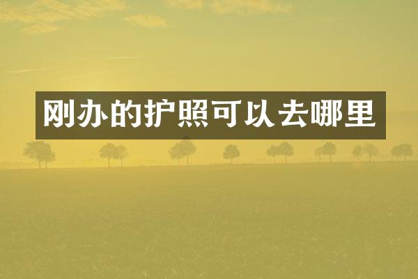 刚办的护照可以去哪里