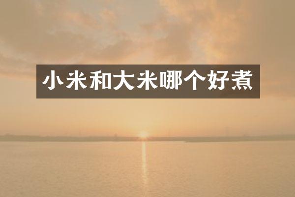 小米和大米哪个好煮